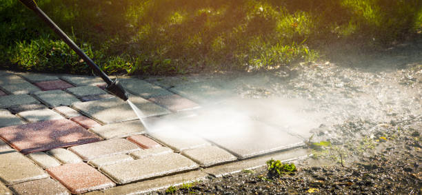 Animal Enclosure Cleaning in Cuero, TX